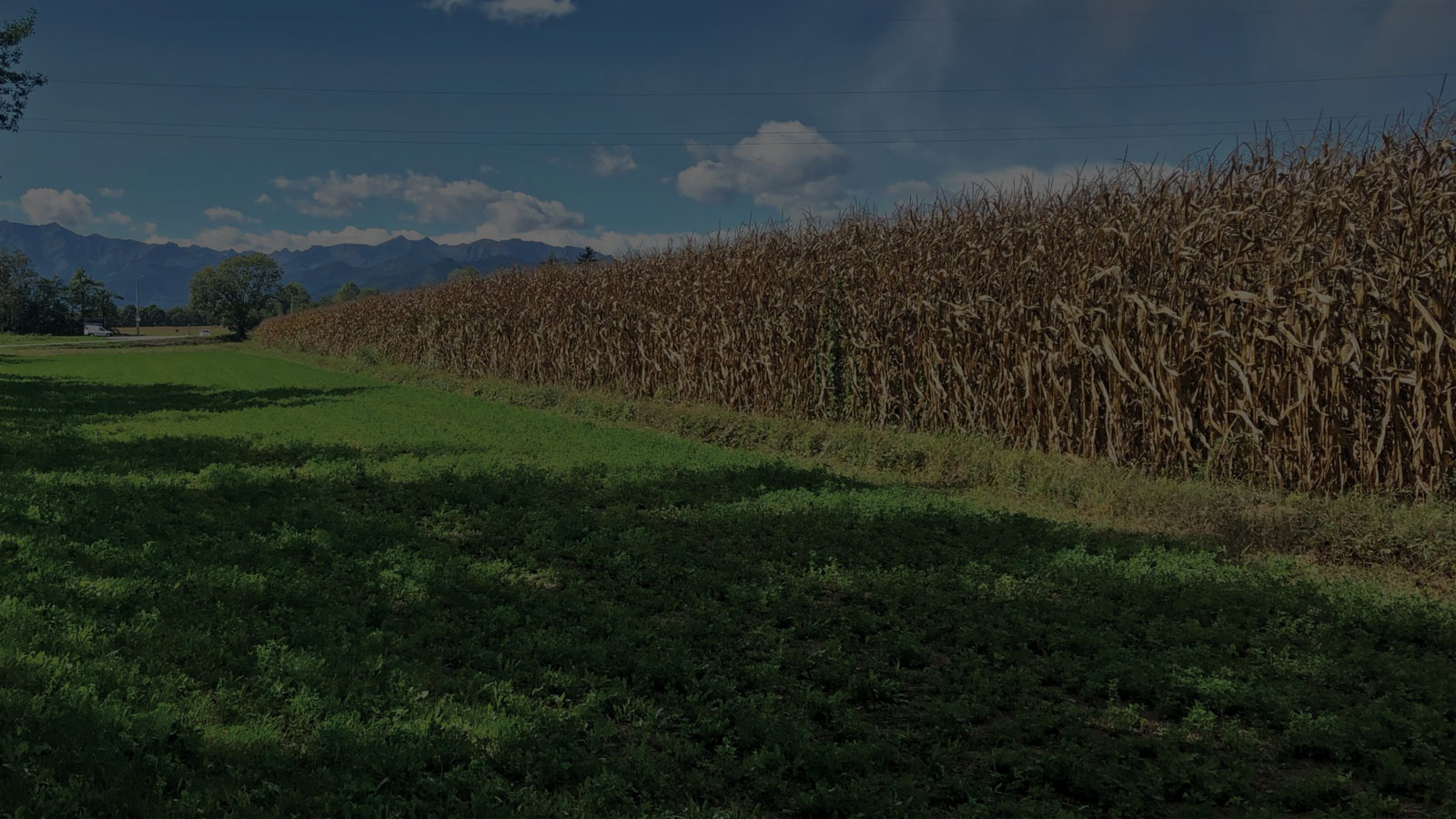 racconti-dalla-terra-banner